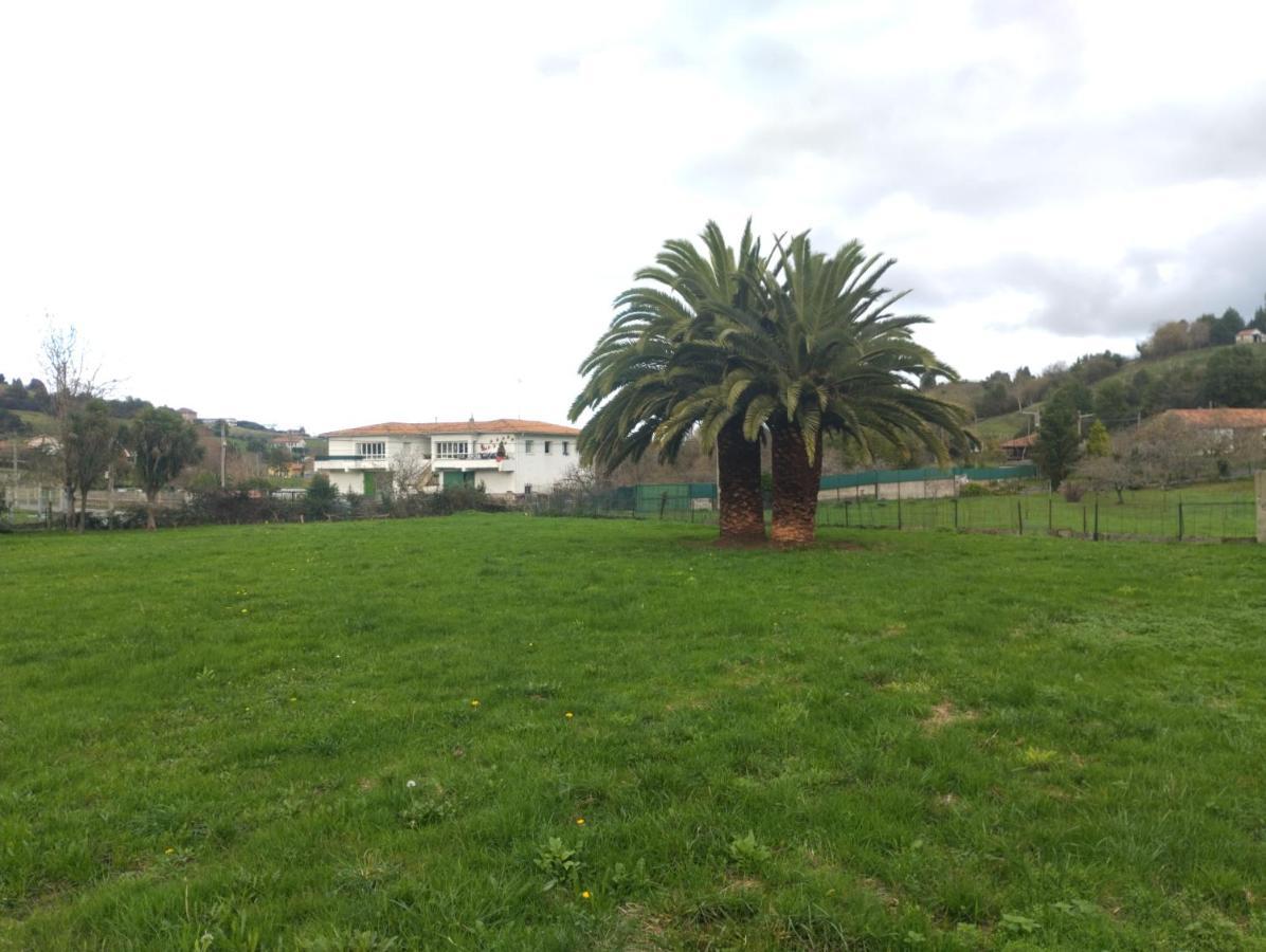Las Palmeras Otel Gijón Dış mekan fotoğraf